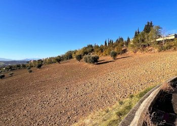 Foto 7 - Agricultural land via marchesi, Monte Urano - photo 7