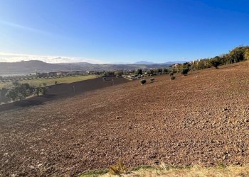 Foto 8 - Agricultural land via marchesi, Monte Urano - photo 8