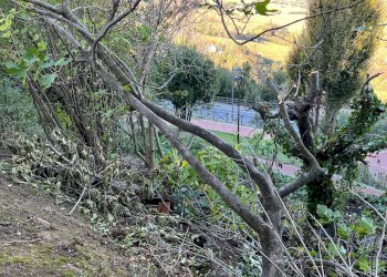 Foto 20 - Independent house via Monteverde, Montegiorgio - photo 20