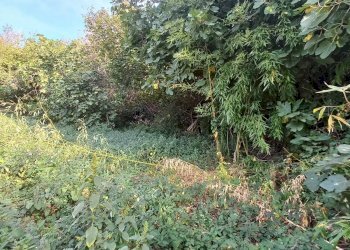 Foto 21 - Independent house via Monteverde, Montegiorgio - photo 21