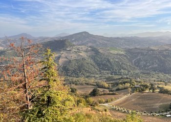 Foto 12 - Rustico viale Martiri D'Ungheria
 
snc, Penna San Giovanni - foto 12