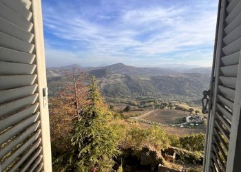 Foto 13 - Rustico viale Martiri D'Ungheria
 
snc, Penna San Giovanni - foto 13