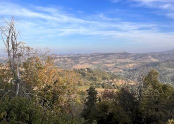 Foto 15 - Rustico viale Martiri D'Ungheria
 
snc, Penna San Giovanni - foto 15