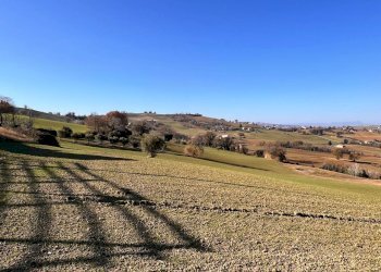 Foto 12 - Independent house strada colle bianco, Montegiorgio - photo 12