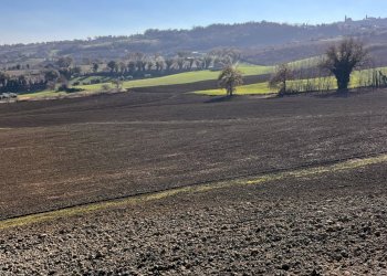 Foto 13 - Independent house strada colle bianco, Montegiorgio - photo 13