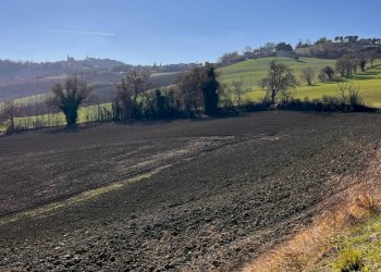 Foto 14 - Independent house strada colle bianco, Montegiorgio - photo 14