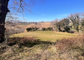 Foto 12 - Casa indipendente castello di Montefiore, Recanati - foto 12