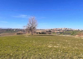 Foto 26 - Casa indipendente castello di Montefiore, Recanati - foto 26