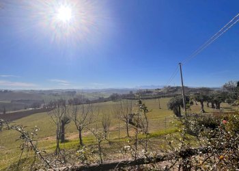 Foto 3 - Commercial Activity c.da Montefiore
 
89, Recanati - photo 3