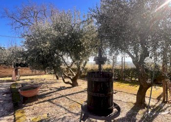 Foto 5 - Commercial Activity c.da Montefiore
 
89, Recanati - photo 5