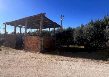 Foto 13 - Commercial Activity c.da Montefiore
 
89, Recanati - photo 13