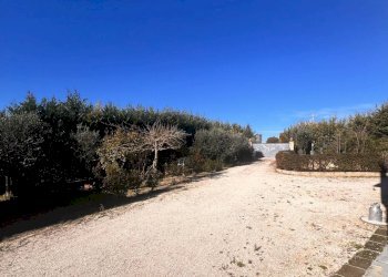 Foto 14 - Commercial Activity c.da Montefiore
 
89, Recanati - photo 14