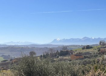 Foto 28 - Commercial Activity c.da Montefiore
 
89, Recanati - photo 28