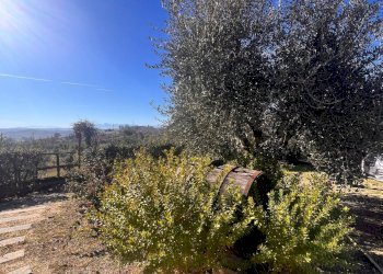 Foto 50 - Commercial Activity c.da Montefiore
 
89, Recanati - photo 50