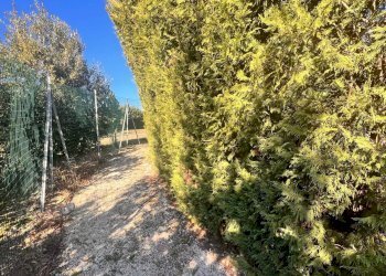 Foto 51 - Commercial Activity c.da Montefiore
 
89, Recanati - photo 51