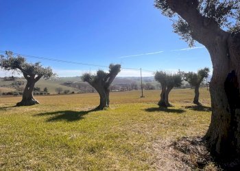 Foto 52 - Commercial Activity c.da Montefiore
 
89, Recanati - photo 52