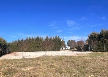 Foto 54 - Commercial Activity c.da Montefiore
 
89, Recanati - photo 54