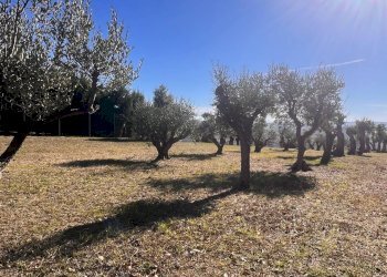 Foto 55 - Commercial Activity c.da Montefiore
 
89, Recanati - photo 55