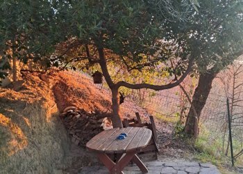 Foto 13 - Independent house via Modonana
 
17, Monte Giberto - photo 13