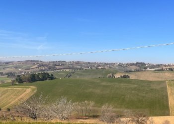 Foto 1 - Terreno agricolo C.da Montefiore
89, Recanati - foto 1