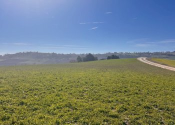 Foto 2 - Terreno agricolo C.da Montefiore
89, Recanati - foto 2