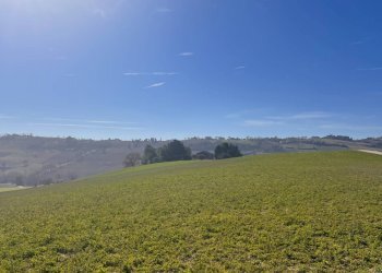 Foto 3 - Terreno agricolo C.da Montefiore
89, Recanati - foto 3