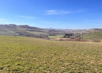 Foto 5 - Terreno agricolo C.da Montefiore
89, Recanati - foto 5