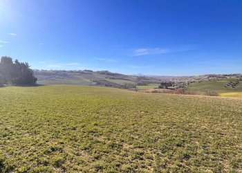 Foto 6 - Terreno agricolo C.da Montefiore
89, Recanati - foto 6