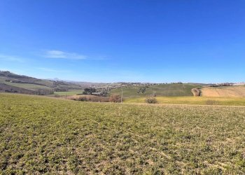 Foto 7 - Terreno agricolo C.da Montefiore
89, Recanati - foto 7