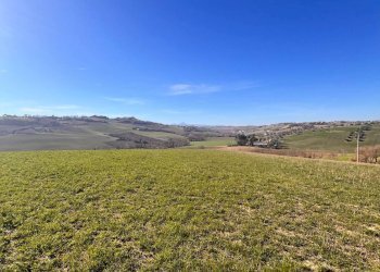 Foto 8 - Terreno agricolo C.da Montefiore
89, Recanati - foto 8