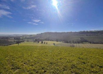 Foto 9 - Terreno agricolo C.da Montefiore
89, Recanati - foto 9