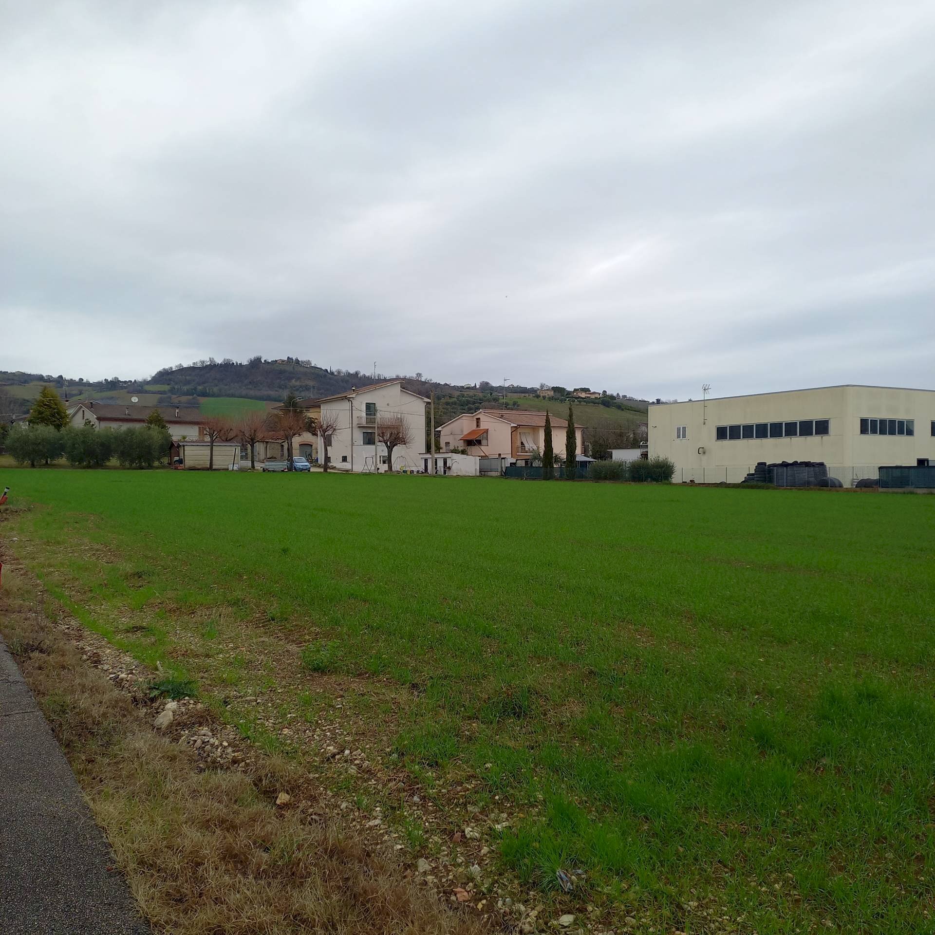 Foto 2 - Building land SP 239 Fermana Faleriense, Falerone - photo 2