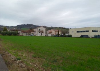 Foto 2 - Terreno edificabile SP 239 Fermana Faleriense, Falerone - foto 2