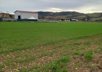 Foto 3 - Terreno edificabile SP 239 Fermana Faleriense, Falerone - foto 3