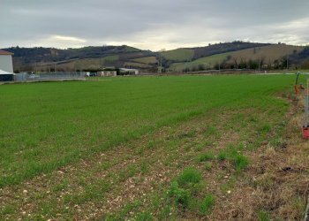 Foto 4 - Terreno edificabile SP 239 Fermana Faleriense, Falerone - foto 4