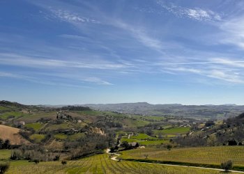 Foto 23 - Independent house Strada Provinciale, Montegiorgio - photo 23