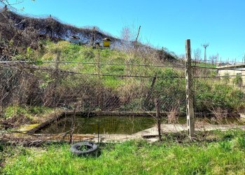 Foto 6 - Casa indipendente Contrada San Salvatore Tenna
 
12, Santa Vittoria in Matenano - foto 6