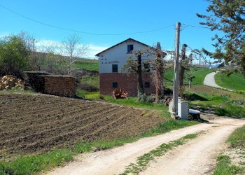 Foto 24 - Casa indipendente Contrada San Salvatore Tenna
 
12, Santa Vittoria in Matenano - foto 24