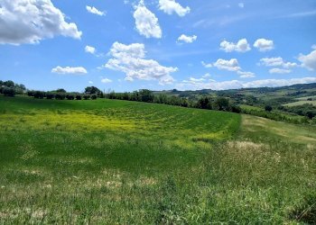 Foto 14 - Casa indipendente Monsampietro Morico - foto 14