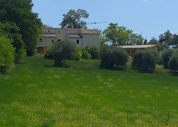 Foto 15 - Casa indipendente Monsampietro Morico - foto 15