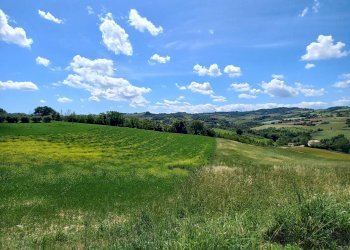 Foto 17 - Casa indipendente Monsampietro Morico - foto 17