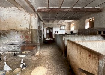 Foto 11 - Casa indipendente Contrada Maltignano
 
10, Petritoli - foto 11