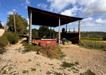 Foto 14 - Casa indipendente Contrada Maltignano
 
10, Petritoli - foto 14