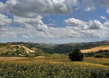 Foto 16 - Casa indipendente Contrada Maltignano
 
10, Petritoli - foto 16