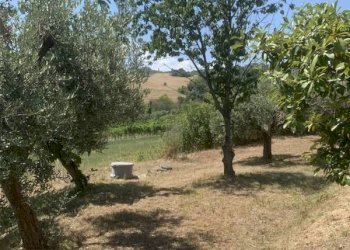 Foto 6 - Casa indipendente C.da Poggio
 
32, Santa Vittoria in Matenano - foto 6