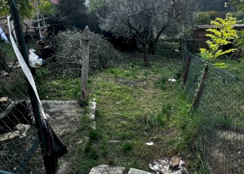 Foto 27 - Independent house via case, Montegiorgio - photo 27