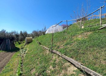 Foto 39 - Independent house Strada montapponese
 
snc, Falerone - photo 39