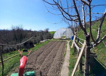 Foto 40 - Independent house Strada montapponese
 
snc, Falerone - photo 40