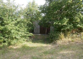 Foto 5 - Rustico contrada coste, Montelparo - foto 5