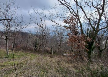 Foto 7 - Rustico contrada coste, Montelparo - foto 7